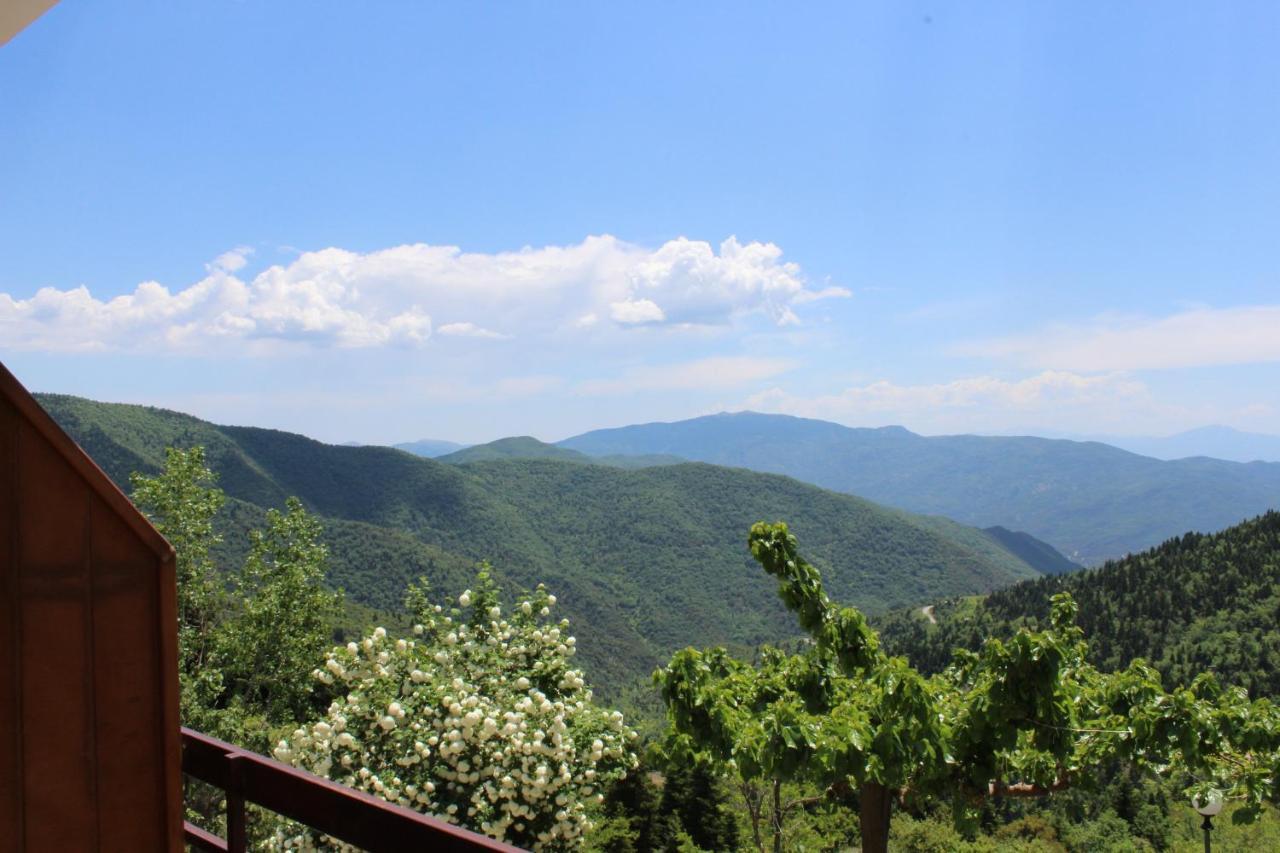 Elatou Hotel Ano Chora Exterior photo
