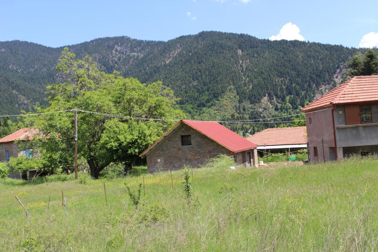Elatou Hotel Ano Chora Exterior photo